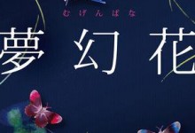 梦幻花电子版读完-东野圭吾 乱评几句-西秦记