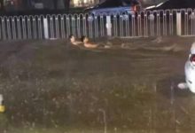 全国到处水患，西安这次终于扛不住了，发大水了-西秦记